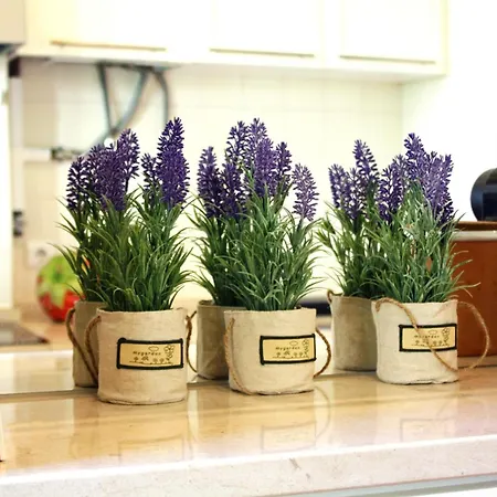 Sm2 Romantic By The Gardens Pr Real & Bairro Alto 아파트